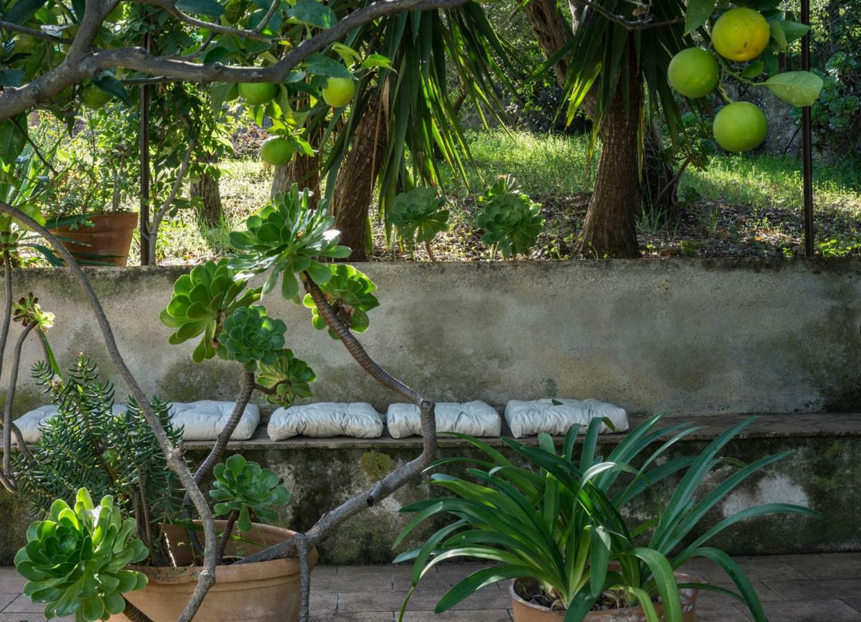 Villa Santa Lucia Cefalù Exteriér fotografie